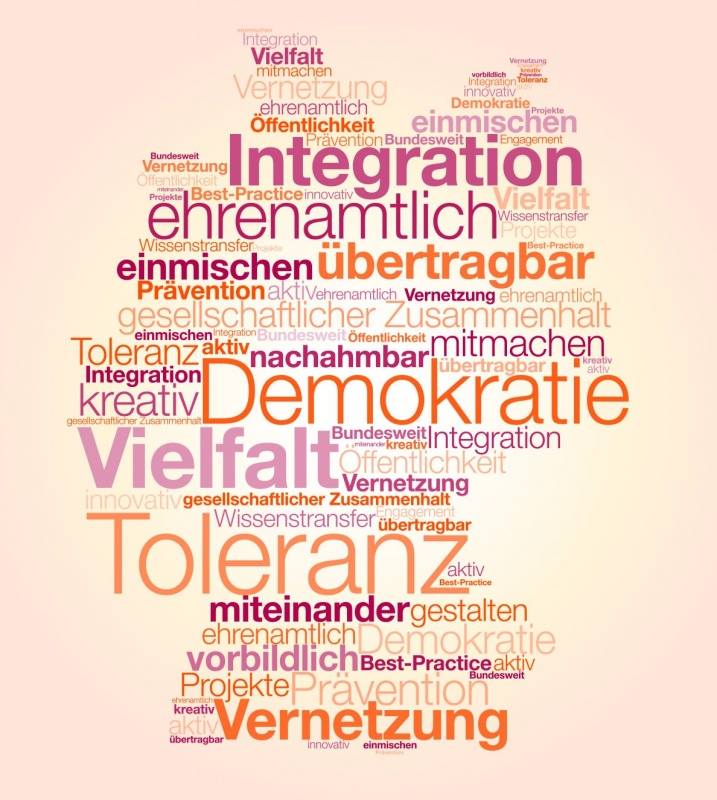 Quelle: Bündnis für Demokratie und Toleranz (BfDT) Quelle: Bündnis für Demokratie und Toleranz (BfDT)